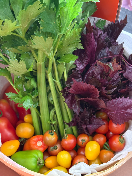 CSA (Community Shared Agriculture)