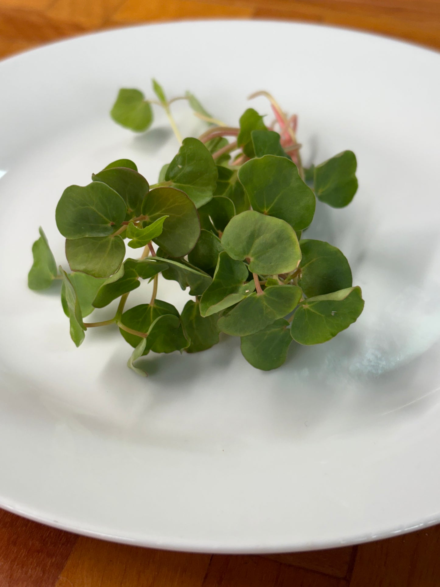 Organic Microgreens