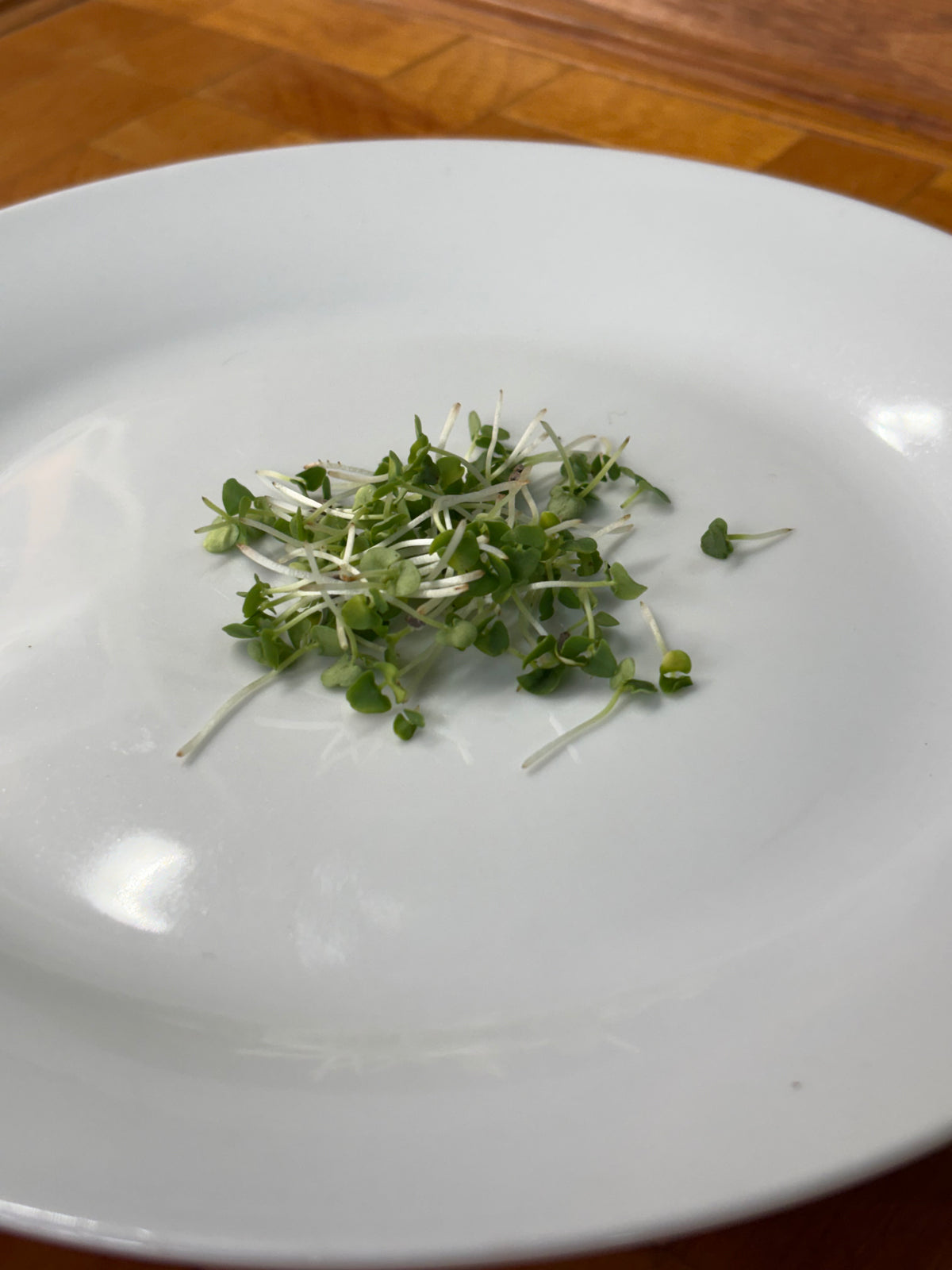 Organic Microgreens