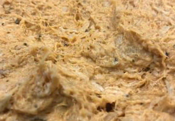 Creamy Buffalo Chicken