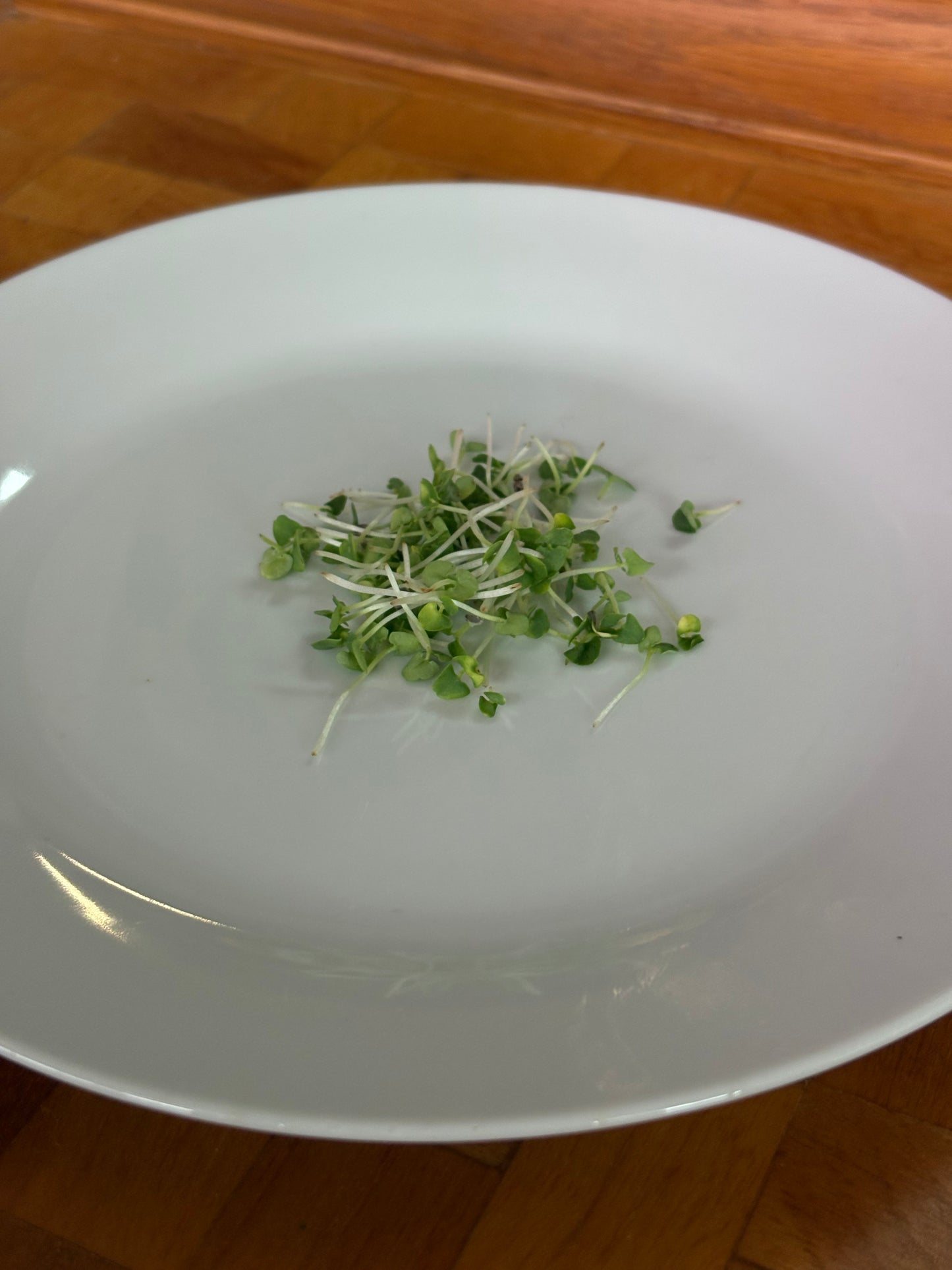 Organic Microgreens