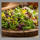 Microgreens-1
