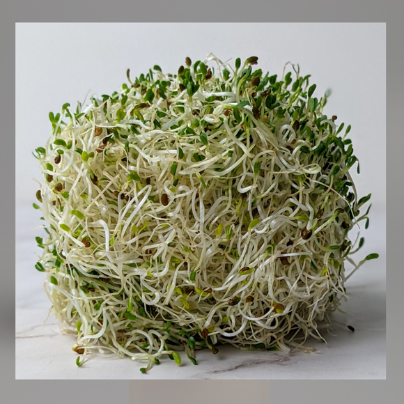 Microgreens