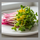 Microgreens-4