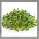 Microgreens-6