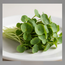 Microgreens-8