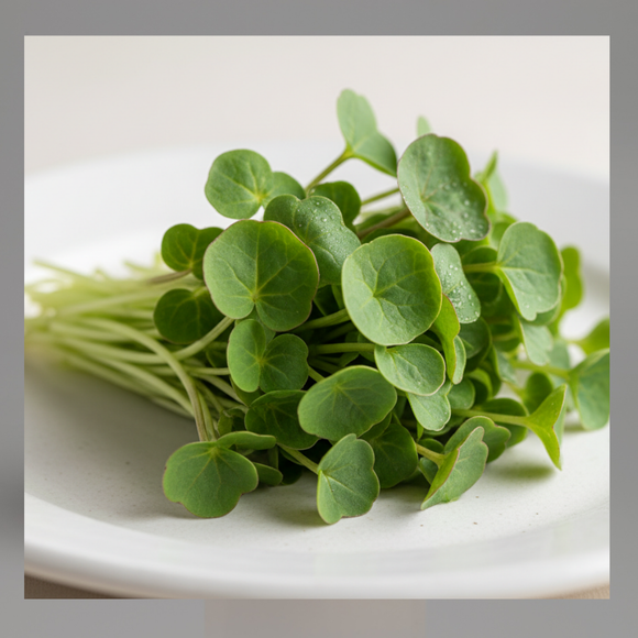 Microgreens