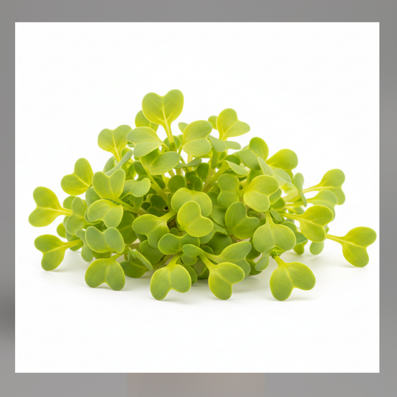 Microgreens
