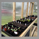 Funny Farm Farmer's Choice Boxes!-4