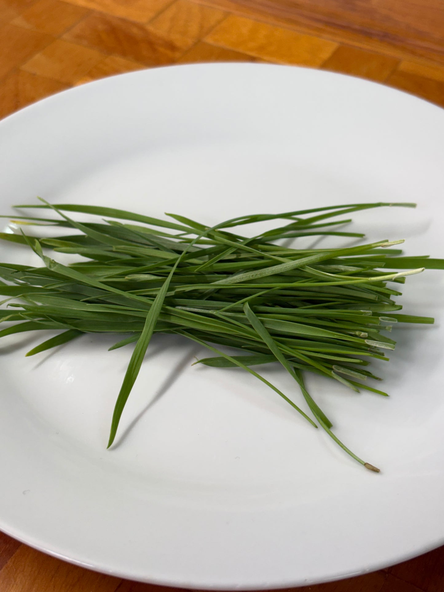 Organic Microgreens