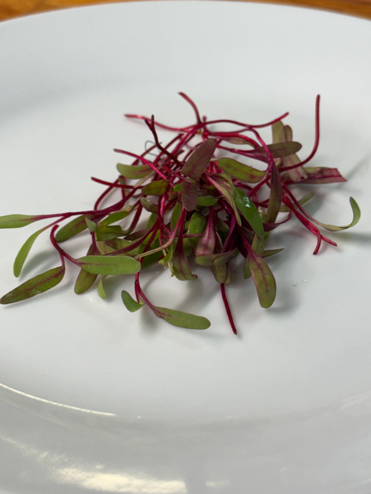 Organic Microgreens