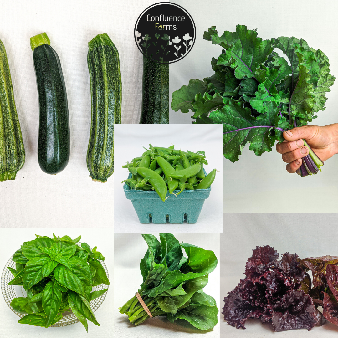 CSA (Community Shared Agriculture)