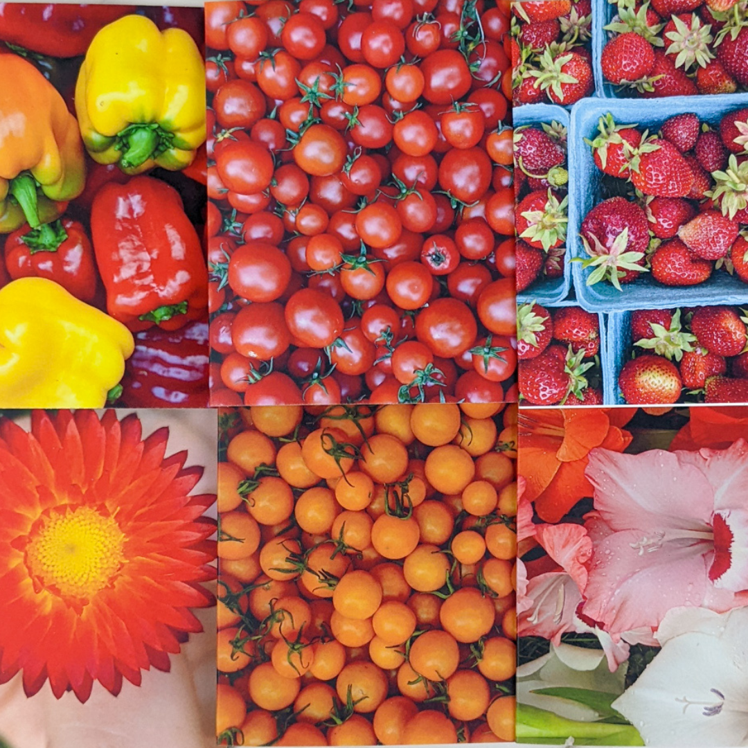 CSA (Community Shared Agriculture)