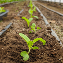 Funny Farm Membership-3