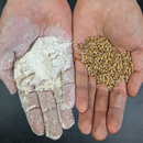 Funny Farm Membership-5